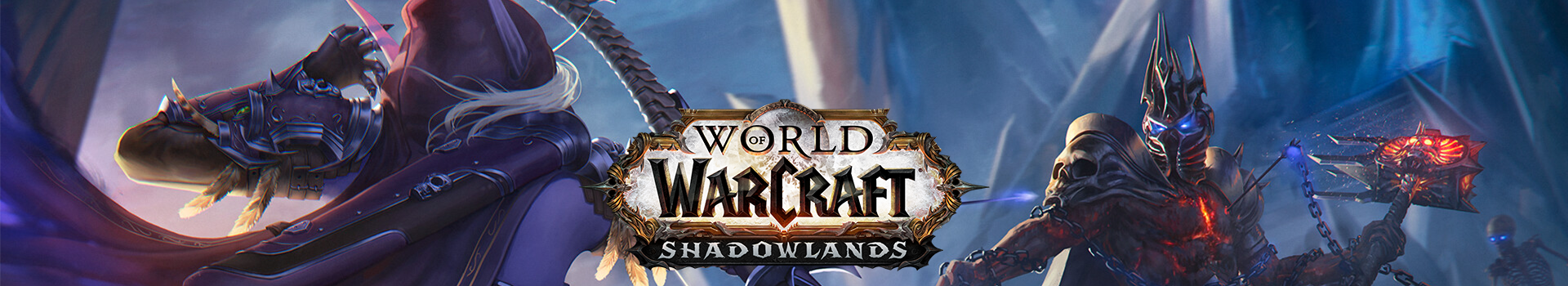 World of Warcraft Banner